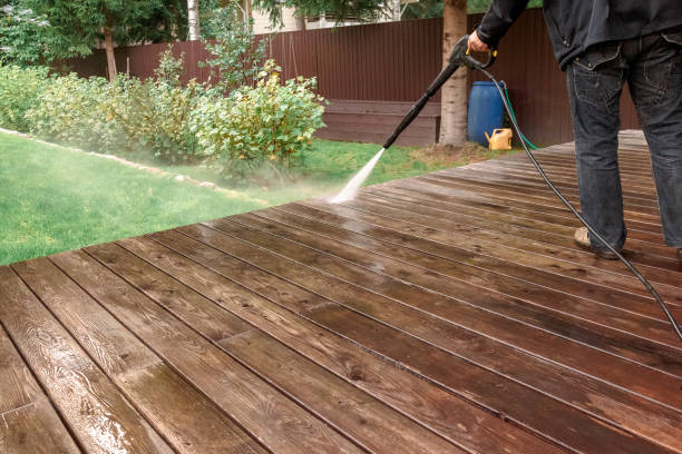 Animal Enclosure Cleaning in Phoenix, AZ